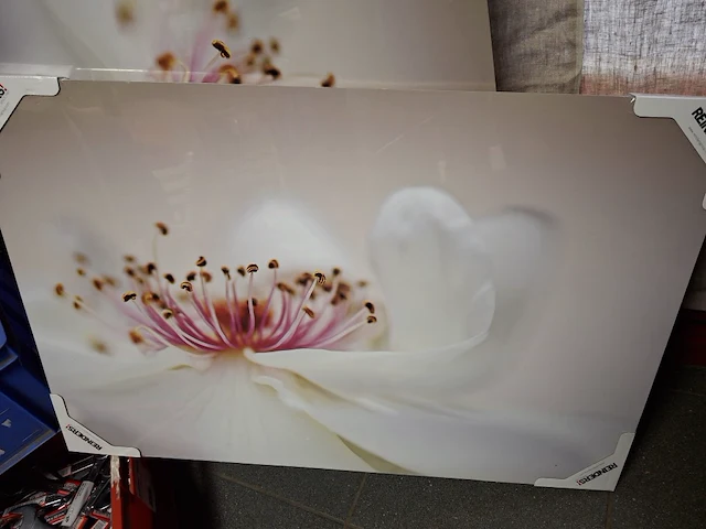 Foto prent schilderij 60 x 90 cm 3 stuks - afbeelding 3 van  3