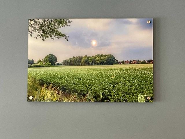 Foto serie aardappel/friet - afbeelding 2 van  6