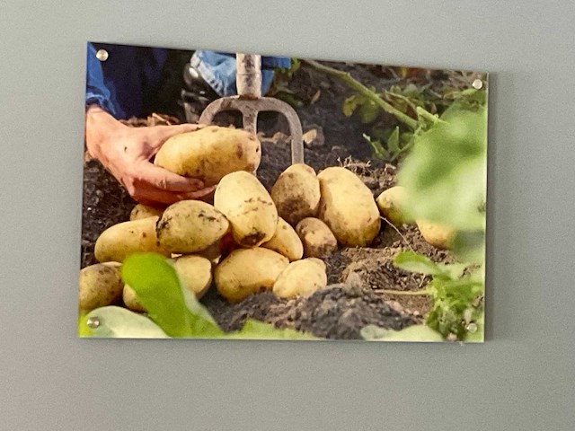 Foto serie aardappel/friet - afbeelding 3 van  6