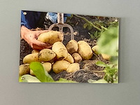 Foto serie aardappel/friet - afbeelding 3 van  6