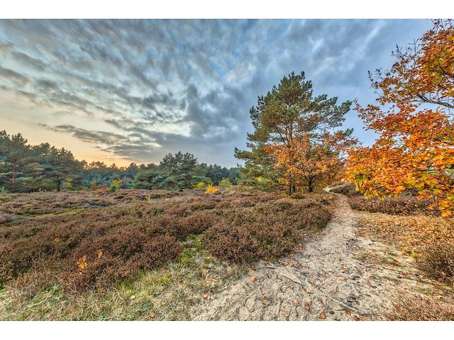 Foto studio 57 - afbeelding 1 van  3