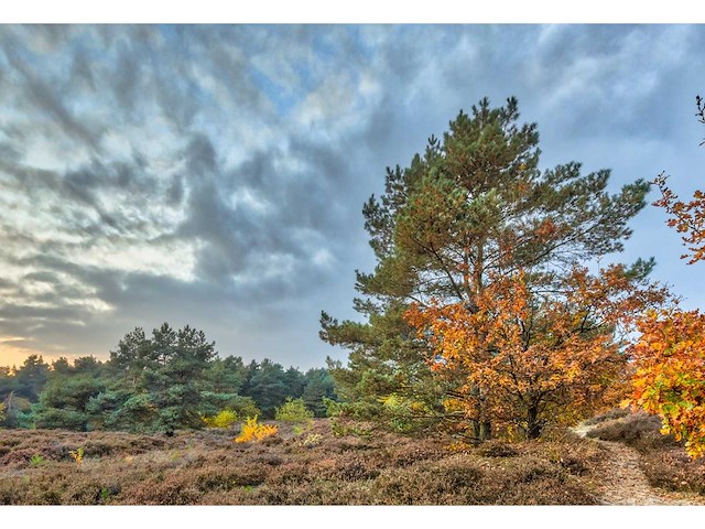 Foto studio 57 - afbeelding 2 van  3