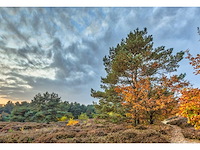 Foto studio 57 - afbeelding 2 van  3