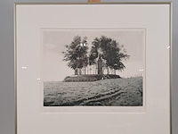 Foto, w. bettenhausen, terp bij oosterwierum 7/19, 1994 - afbeelding 1 van  8