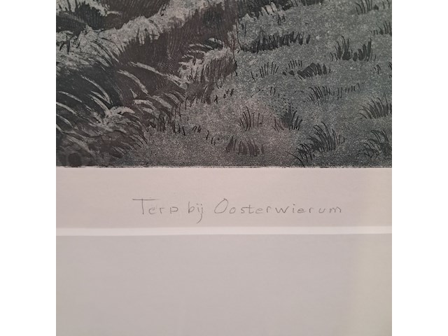 Foto, w. bettenhausen, terp bij oosterwierum 7/19, 1994 - afbeelding 4 van  8