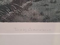 Foto, w. bettenhausen, terp bij oosterwierum 7/19, 1994 - afbeelding 4 van  8