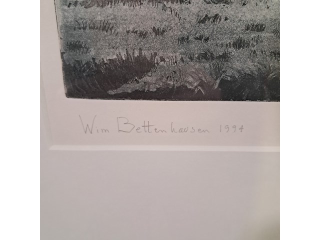 Foto, w. bettenhausen, terp bij oosterwierum 7/19, 1994 - afbeelding 5 van  8