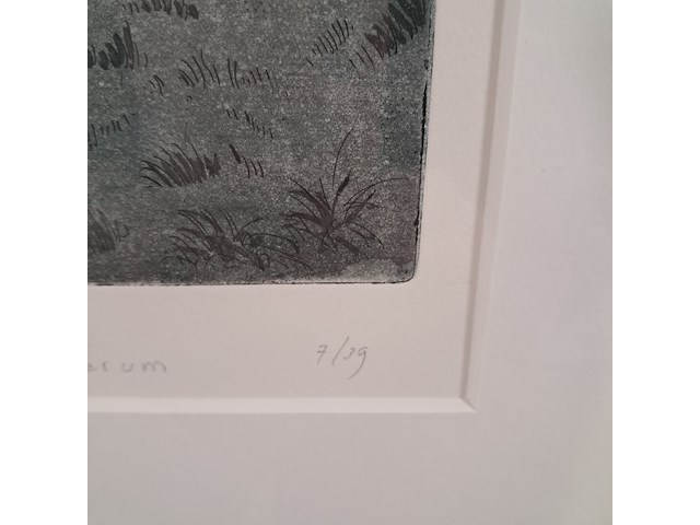 Foto, w. bettenhausen, terp bij oosterwierum 7/19, 1994 - afbeelding 6 van  8