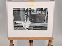 Foto - afbeelding 1 van  6