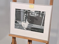 Foto - afbeelding 3 van  6