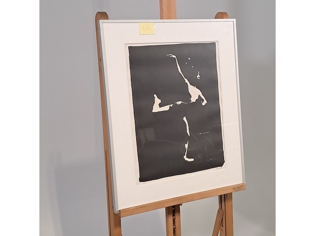 Foto - afbeelding 2 van  8