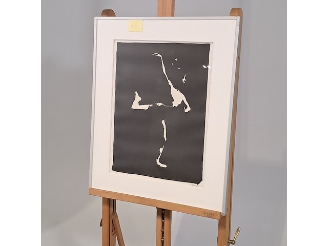 Foto - afbeelding 3 van  8