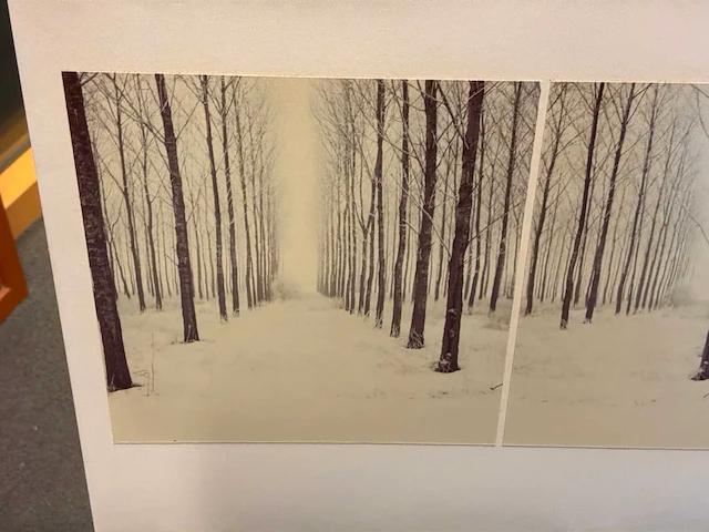 Fotografie “ger dekkers- wood near hasselt” - afbeelding 3 van  6