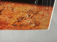 Fotografie “mies de monchy- muziek serie nr.ii” - afbeelding 4 van  6