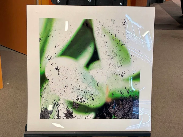 Fotografie “reinoud van vught-herbarium i” - afbeelding 2 van  5