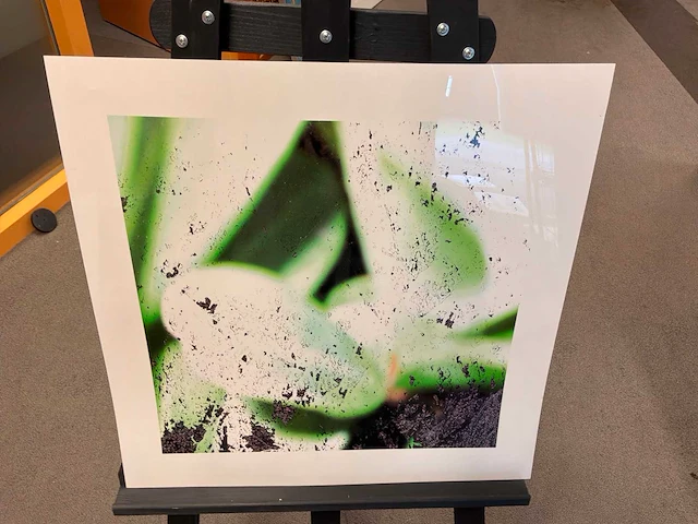 Fotografie “reinoud van vught-herbarium i” - afbeelding 3 van  5