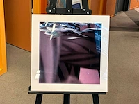 Fotografie “reinoud van vught-herbarium ii”