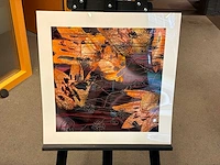 Fotografie “reinoud van vught-herbarium iii”