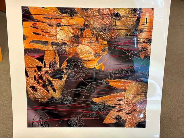 Fotografie “reinoud van vught-herbarium iii” - afbeelding 2 van  4