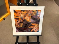 Fotografie “reinoud van vught-herbarium iii” - afbeelding 3 van  4