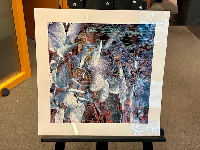 Fotografie “reinoud van vught-herbarium iv - afbeelding 1 van  5
