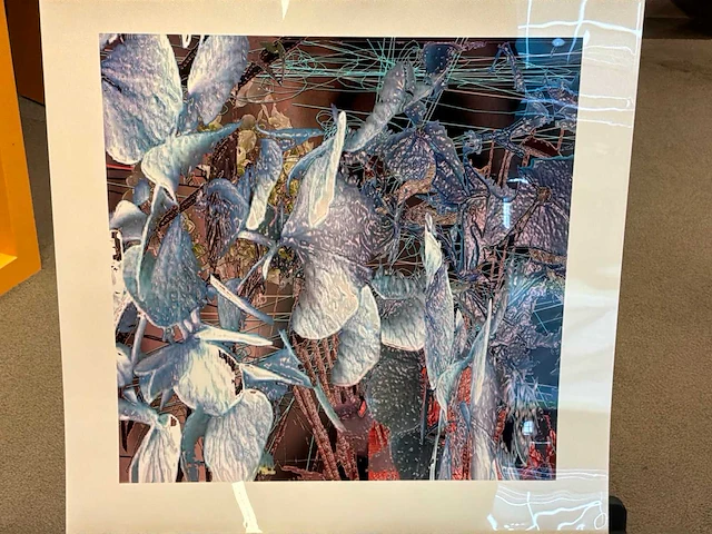 Fotografie “reinoud van vught-herbarium iv - afbeelding 2 van  5
