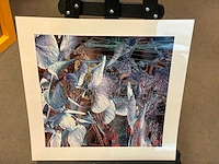 Fotografie “reinoud van vught-herbarium iv - afbeelding 3 van  5