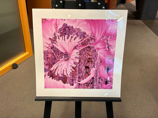 Fotografie “reinoud van vught-herbarium v” - afbeelding 1 van  5