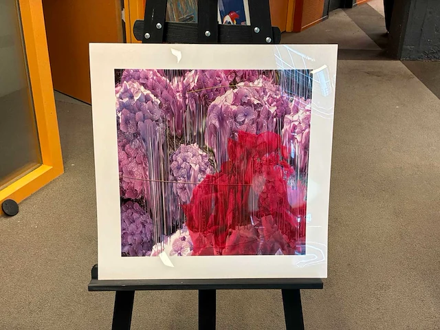 Fotografie “reinoud van vught-herbarium vi” - afbeelding 1 van  5