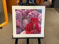 Fotografie “reinoud van vught-herbarium vi”