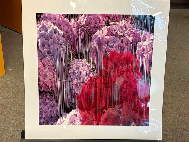Fotografie “reinoud van vught-herbarium vi” - afbeelding 2 van  5