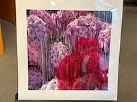 Fotografie “reinoud van vught-herbarium vi” - afbeelding 2 van  5