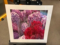 Fotografie “reinoud van vught-herbarium vi” - afbeelding 3 van  5