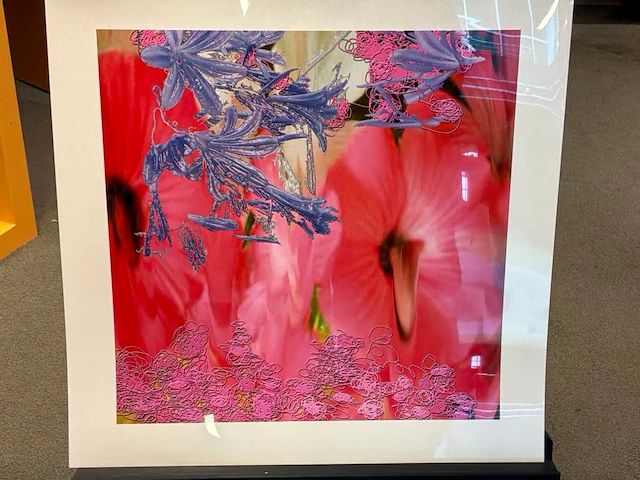 Fotografie “reinoud van vught-herbarium vii” - afbeelding 2 van  5