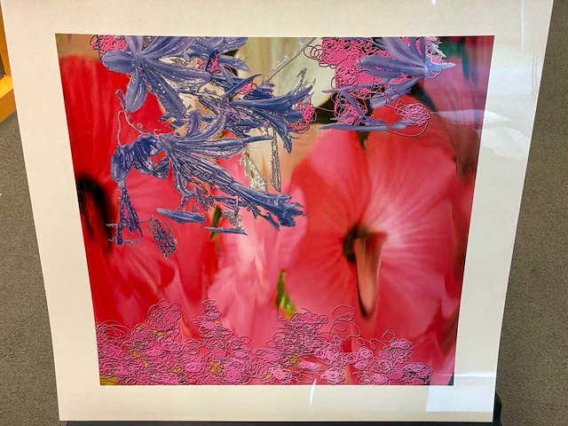 Fotografie “reinoud van vught-herbarium vii” - afbeelding 3 van  5