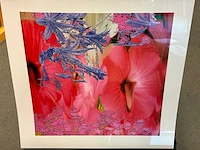 Fotografie “reinoud van vught-herbarium vii” - afbeelding 3 van  5