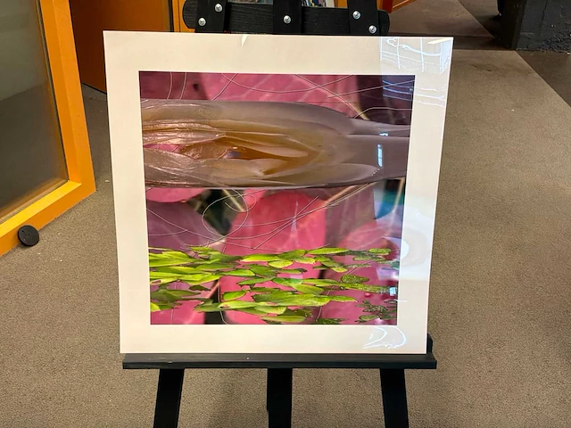 Fotografie “reinoud van vught-herbarium viii” - afbeelding 1 van  5