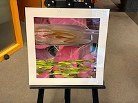 Fotografie “reinoud van vught-herbarium viii”