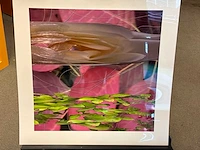 Fotografie “reinoud van vught-herbarium viii” - afbeelding 2 van  5