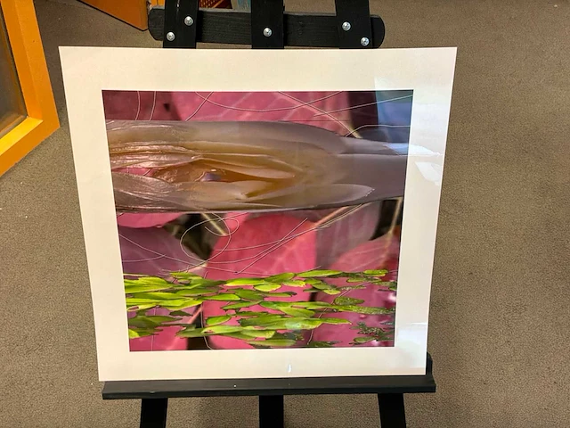 Fotografie “reinoud van vught-herbarium viii” - afbeelding 3 van  5