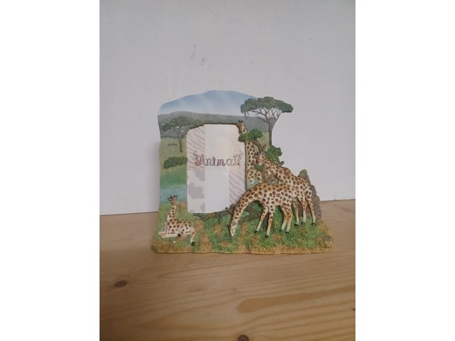 Fotolijst giraffe nr sd042 aantal 12 stuks. - afbeelding 1 van  5