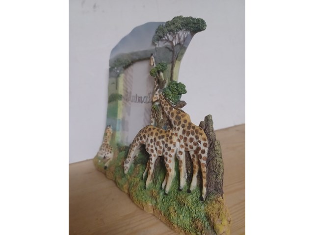Fotolijst giraffe nr sd042 aantal 12 stuks. - afbeelding 3 van  5