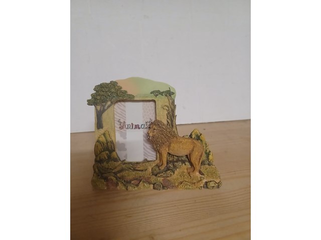 Fotolijst leeuw nr sd052 aantal 5 stuks. - afbeelding 1 van  3