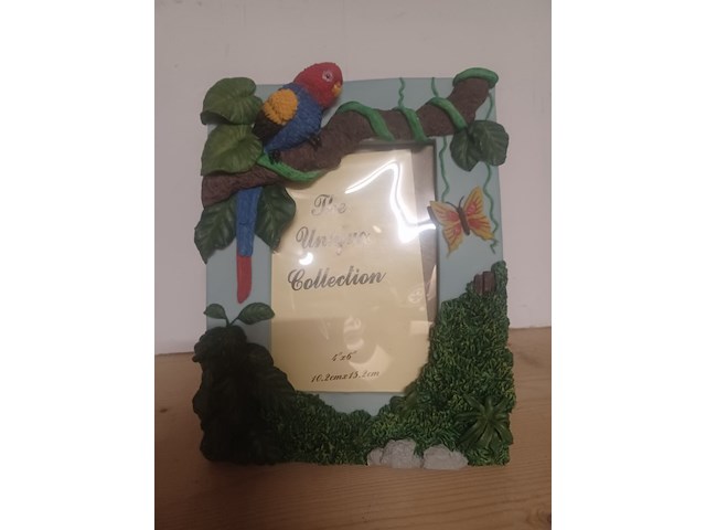 Fotolijst papagaai nr kl102 aantal 12 stuks. - afbeelding 1 van  3