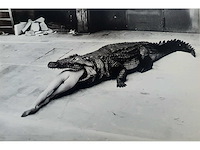 Foto/off set print helmut newton - afbeelding 1 van  3