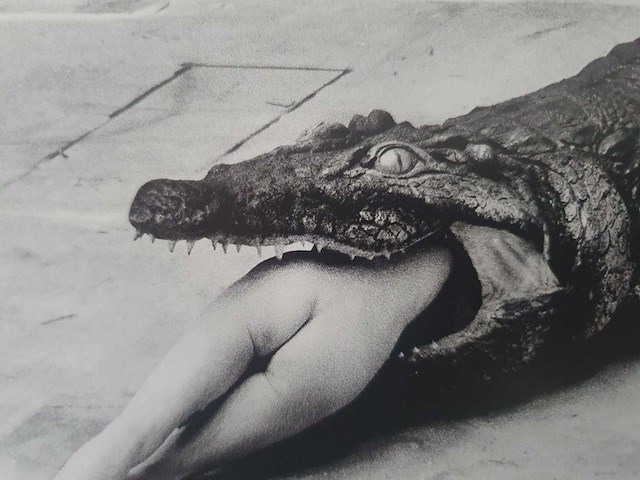 Foto/off set print helmut newton - afbeelding 2 van  3