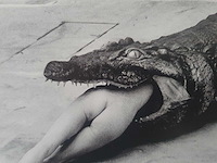 Foto/off set print helmut newton - afbeelding 2 van  3