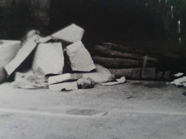 Foto/off set print helmut newton - afbeelding 3 van  3