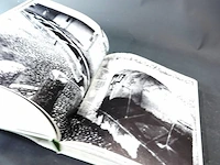 Fountains - mirrors of switzerland - afbeelding 5 van  5