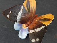 Franklin mint biscuitporseleinen vlinderbeeldje uit de serie "butterflies of the world" - afbeelding 2 van  5